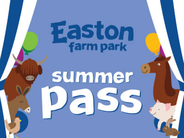 Summer Pass