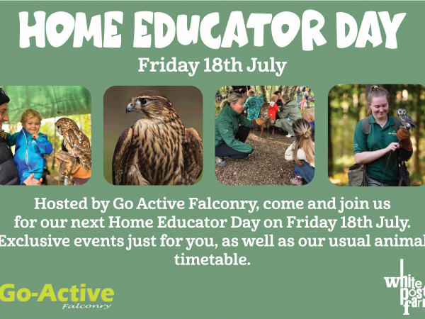Home Educator Day