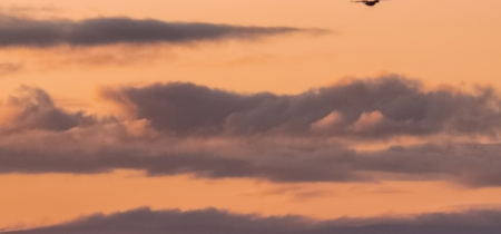 Dusk Flight (Goodbye to the Geese)