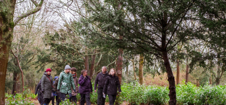 Walk & Talk: Wellbeing Wander in Winter