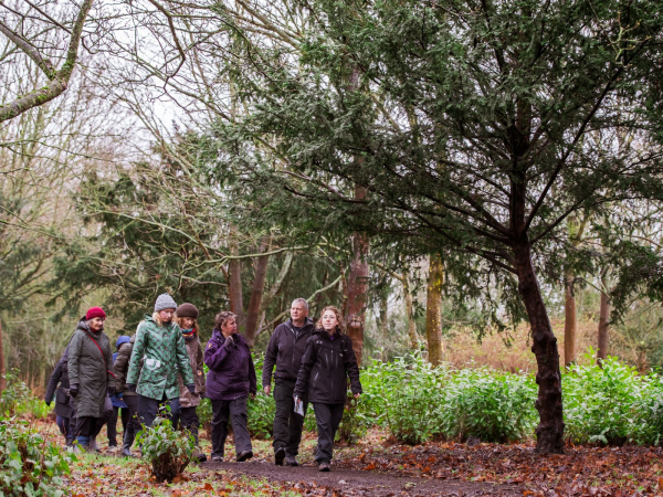 Walk & Talk: Wellbeing Wander in Winter