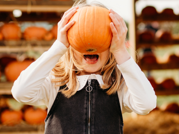 Spooky Standalone 2026: Pumpkin Patch & More!