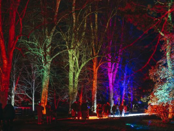 Lights of Lowther