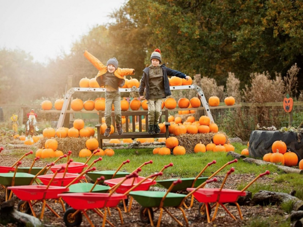 HALLOWEEN AND PUMPKIN FESTIVAL 2025