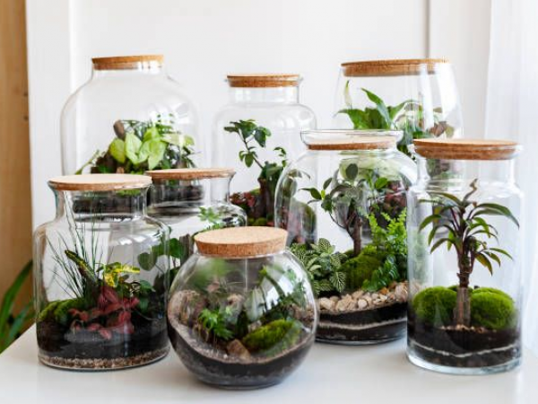 Terrarium Workshop with Periwinkle Barn