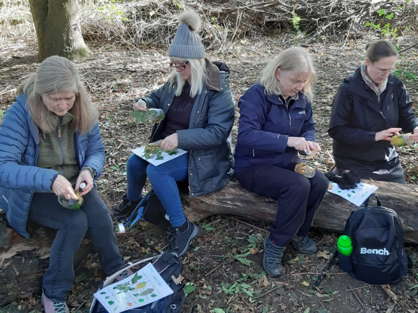 Level 3 certificate in leading forest school
