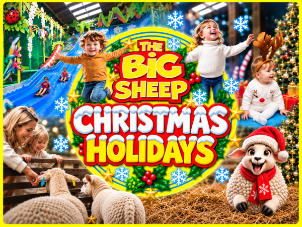 Christmas Holidays 19th Dec - 3rd Jan