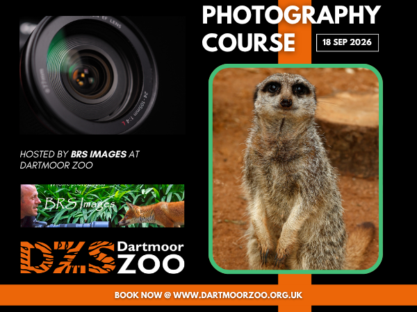 Photography Course