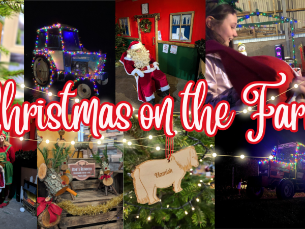 Christmas on the Farm