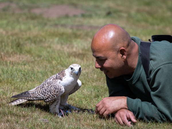 Bird of Prey Experience