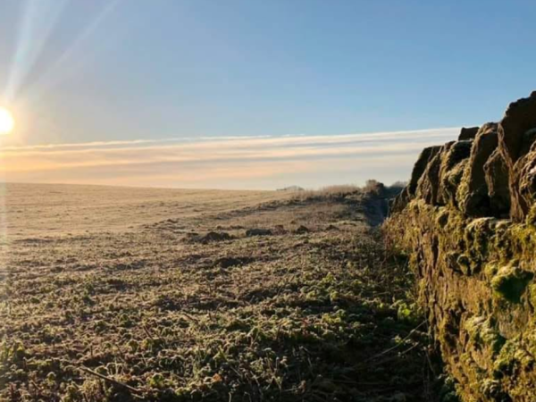 Accessible Photography Walk, Saturday 3rd October, 14:30-16:30, meet at the Ham Hill Ranger's Office, £12 per adult