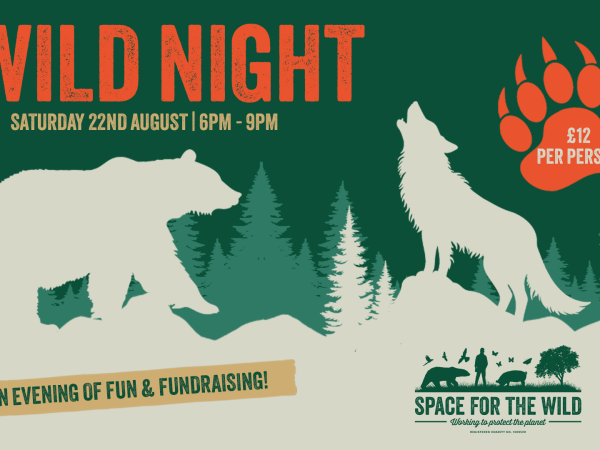 Wild Night