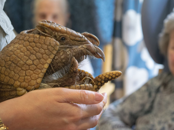 Animal Encounters