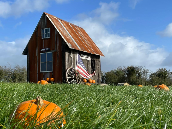 PYO Pumpkin Patch Event 2026