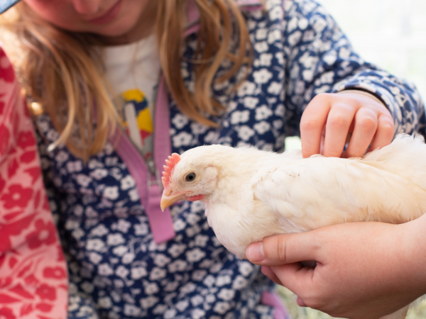 Farm Day Tickets 2026