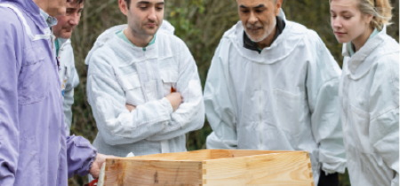 Beekeeping Course - The guide to back garden Beekeeping
