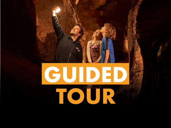 Guided Tours