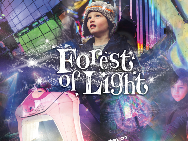 Forest of Light 2026