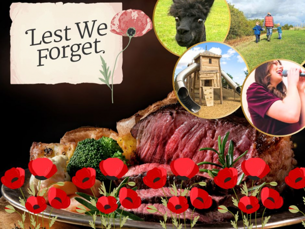 Armistice Day Lunch and FREE farm entry.