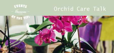Events at The Tipi: Orchid Care Talk