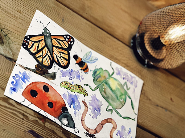 Bugs - summer art workshop