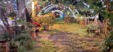 Enchanted Nights at Wylds Farm