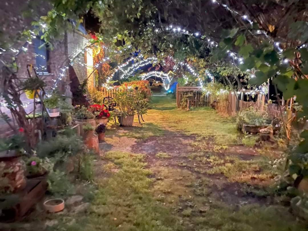 Enchanted Nights at Wylds Farm
