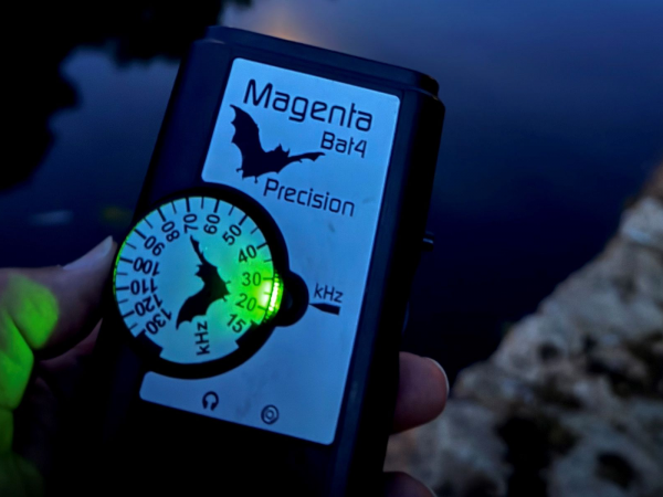 Adult Bat Walk - Great Linford Manor Park - Friday 15 May