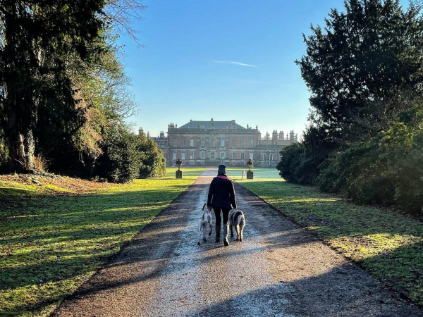Elevenses | Wentworth Woodhouse's Park, Gardens and Menagerie