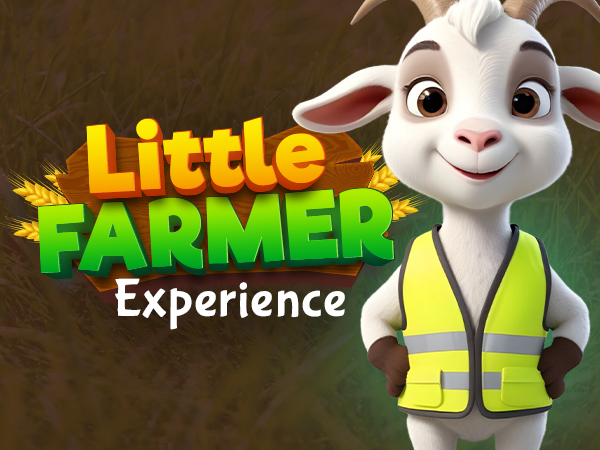 Little Farmers Experience