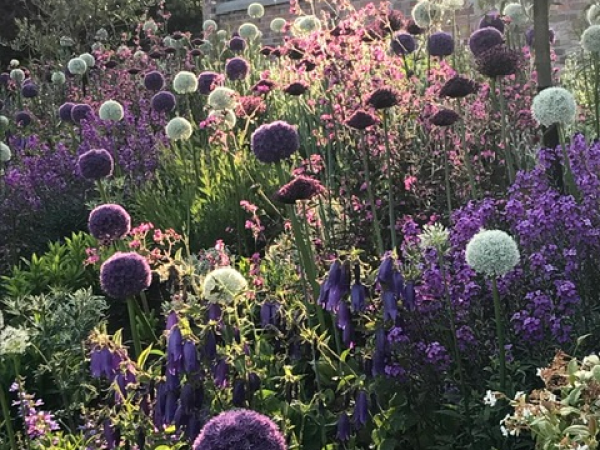 Trees and Shrubs to create your Autumn Wonderland