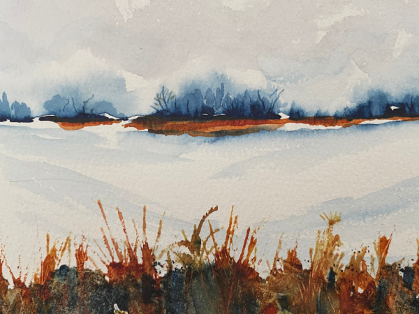 Snowy Landscapes Workshop