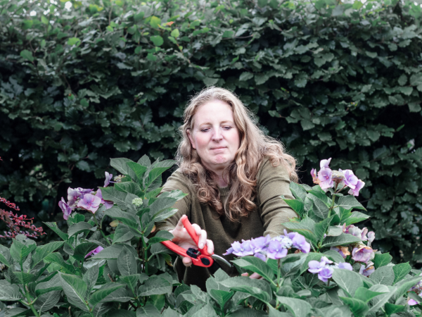 Cut Flowers Workshop, 11th April 11:00am