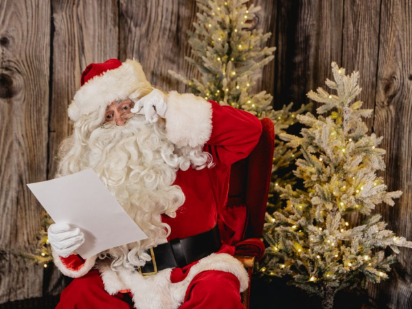 Santa's Grotto at WWT Slimbridge