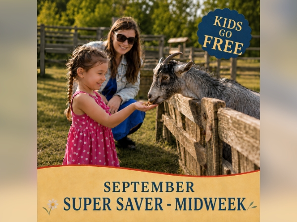 September Super Saver - Midweek