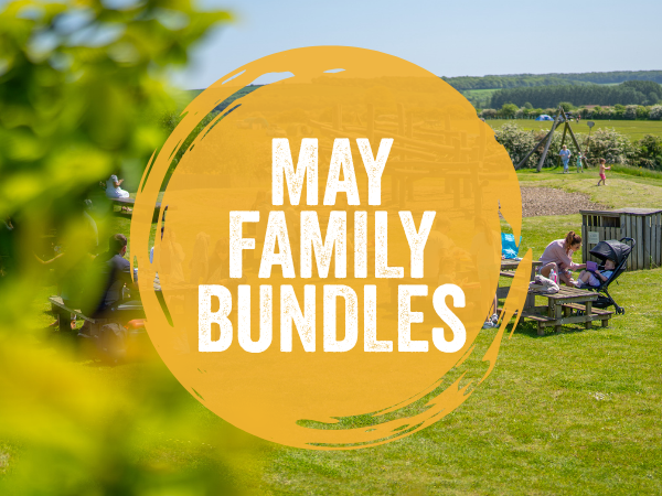 Family Bundles (Fridays)