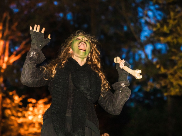 Halloween Ghost Walks: Loughton Valley Park