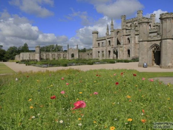 Summer Savings Tickets. From 25th June to 1st September 2026