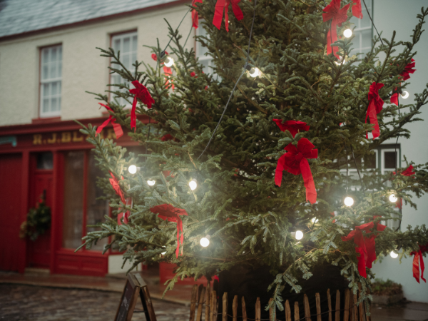 Christmas at the Ulster American Folk Park (Omagh)