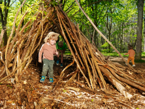 Family Forest Fun