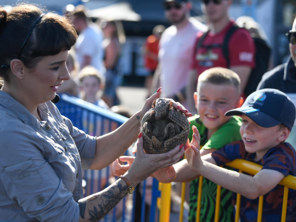 A&S Animal Encounters Workshop