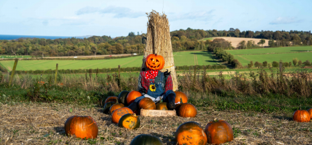 Craigies Pumpkin Festival