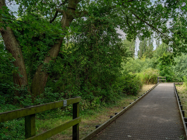 Gyosei Art Trail Walk (Heritage Open Days 2026)