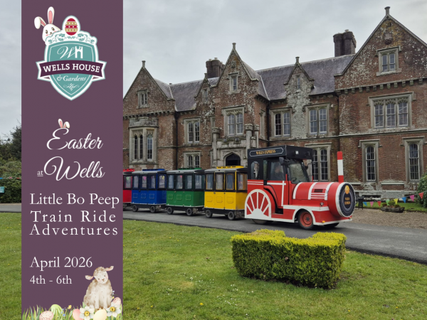  Little Bo Peep’s Train Ride Adventure