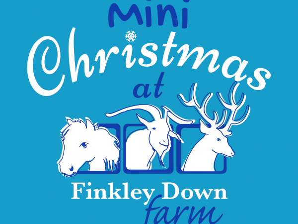 Mini Christmas at Finkley