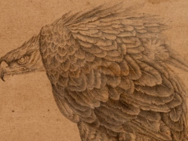 Introduction to Siyahi Qalam