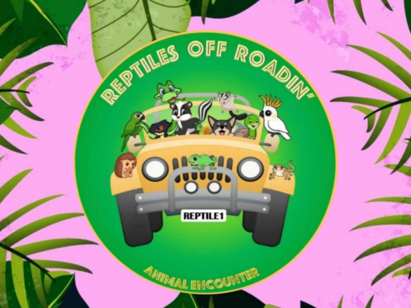 Reptiles Off Roadin'