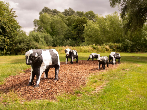 Walking Festival: Discover the Public Art in the North of the City
