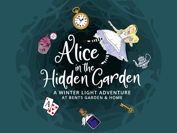 Alice in the Hidden Garden