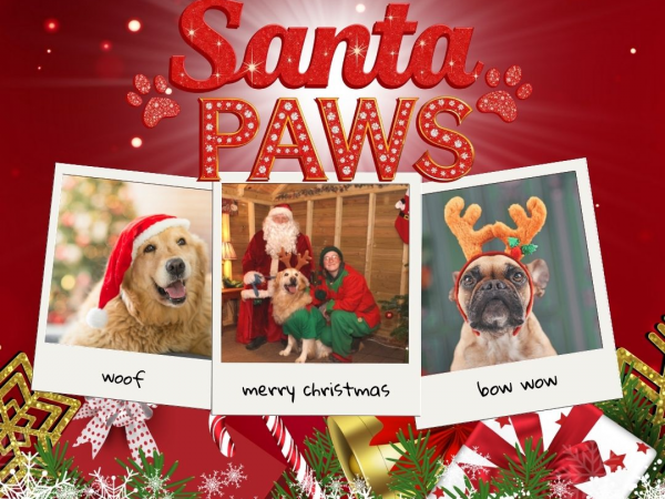 Santa Paws